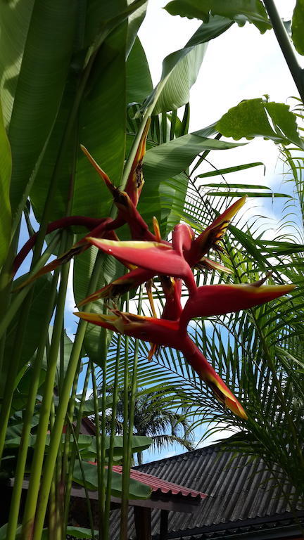 Les Fleurs House Bed & Breakfast Khao Lak Room photo