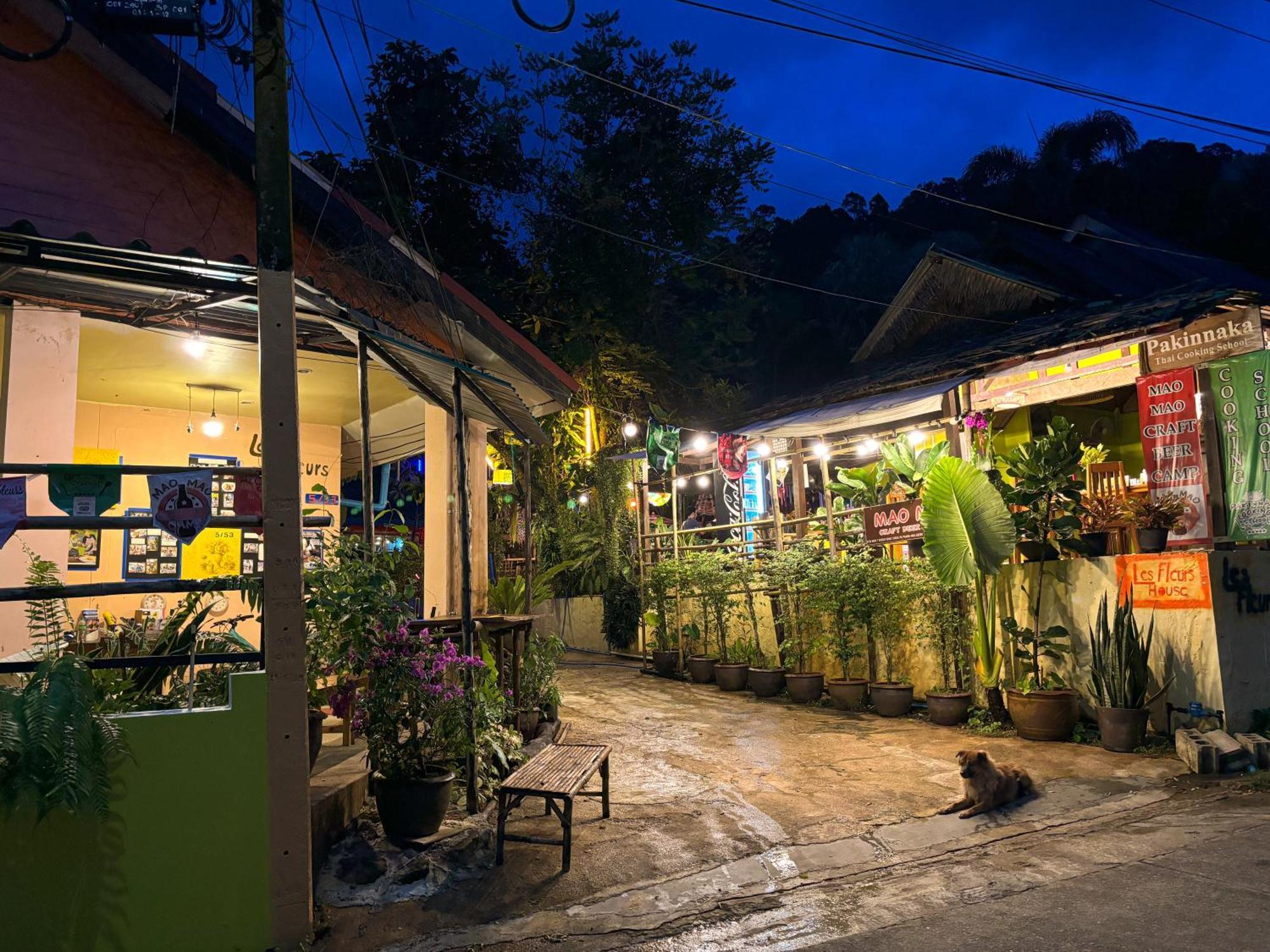 Les Fleurs House Bed & Breakfast Khao Lak Exterior photo